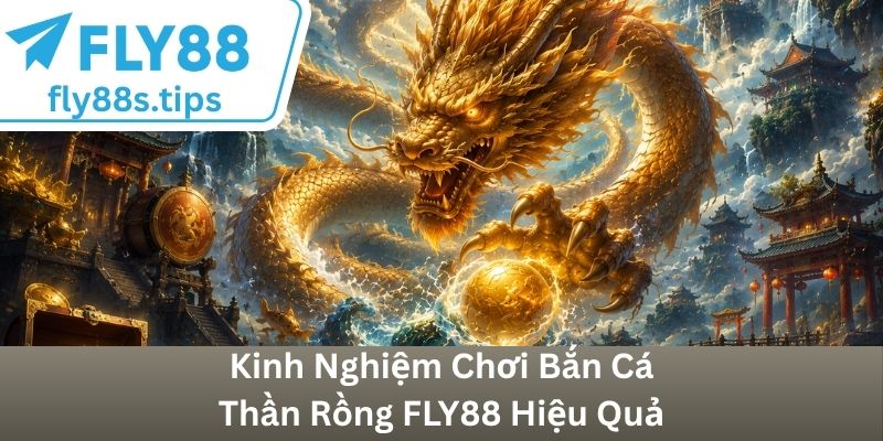 Kinh Nghiệm Chơi Bắn Cá Thần Rồng FLY88 Hiệu Quả